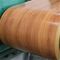 A cor de madeira PPGI PPGL 2.5mm Prepainted a chapa de aço galvanizada na bobina
